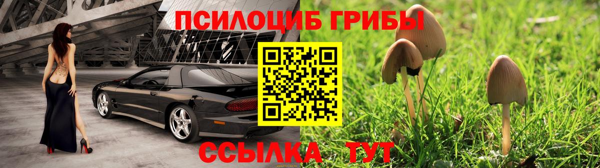продажа наркотиков  Вход с VPN  Ахтубинск  Псилоцибиновые грибы Psilocybe 